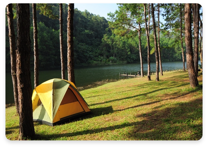 Campground in nature